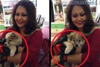 BD Flag on Dog