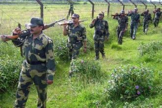 BSF