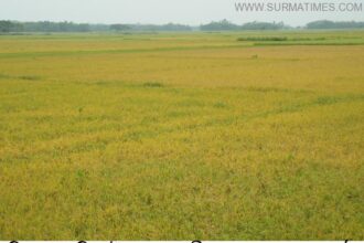 Biswanath sylhet photo 13 4 14