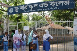 Blue Bird School