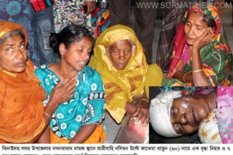Jhenidah Road Accident Photo 03