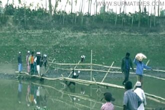 Nabiganj Pic 1