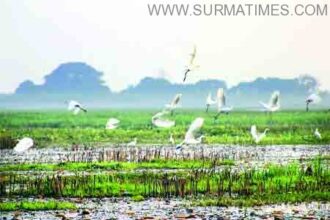 TANGUAR HAOR