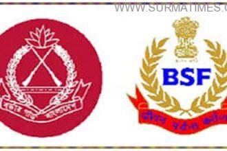 bgb bsf