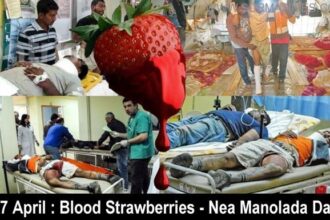 blood strawberries
