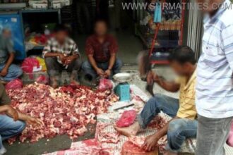 dumba meat