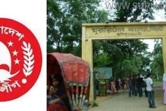 mc College