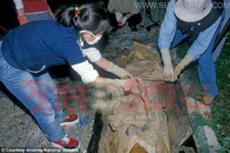 445 years old momi