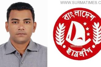 Hiron Mahmud Nipu