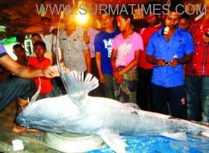 air fish Biswanath