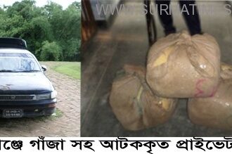 pic Nabiganj