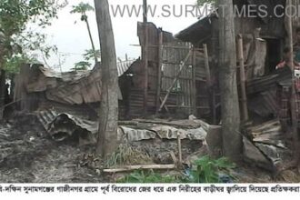 south sunamgonj