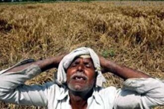 Farmer
