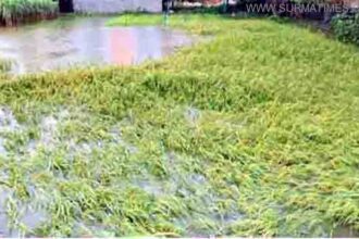 Ous Paddy Sunamgonj