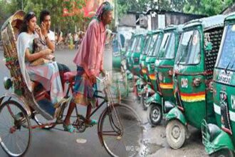 cng rickshaw