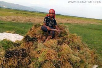 tahirpur Paddyfield