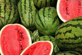 watermelon