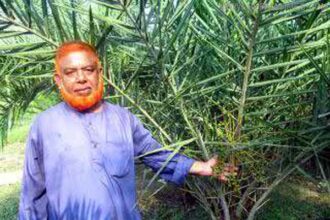 Khejur