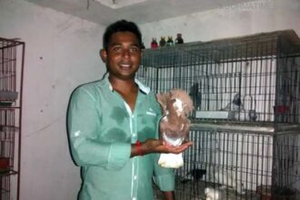 Pigeon Fermer Abdus Samad