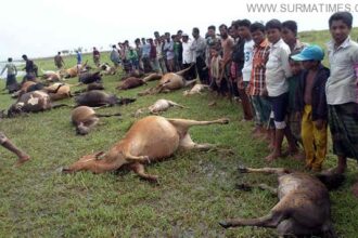 sunamgonj thunderstorm2