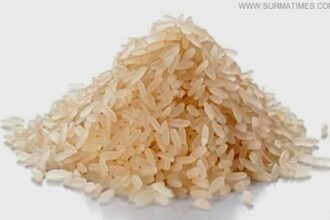 Plastic Rice