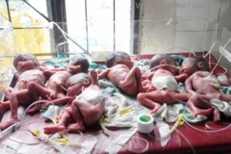Six Infant