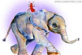 হাতির পিঠে পিঁপড়া : মোঃ শামীম মিয়া - Surma Times Archive