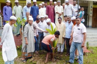 বিশ্বনাথে দারুল ক্বিরাত ও বৃক্ষরোপনের উদ্বোধন-বিতরণ - Surma Times Archive