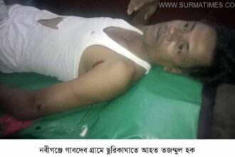 নবীগঞ্জে সরকারী রাস্তা জবর দখলের জের : শালিস বৈঠকে প্রতিপক্ষের ছুরিকাঘাতে আহত ২ - Surma Times Archive