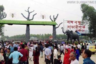 সাফারি পার্কে সংঘর্ষ, গোলাগুলিতে আহত ৬ - Surma Times Archive