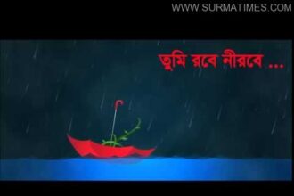 তুমি রবে নীরবে... : ইসমত পারভীন রুনু - Surma Times Archive