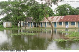 হবিগঞ্জে বিস্তীর্ণ এলাকা প্লাবিত, ব্যাপক ক্ষতি ফসলের - Surma Times Archive