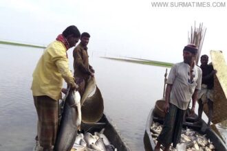 হাওরখেকোদের টার্গেট এখন হাকালুকির অভয়াশ্রমগুলো - Surma Times Archive