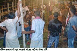 আওয়ামীলীগ-বিএনপি-জামায়াতের ১০ অবৈধ পশুর হাট - Surma Times Archive