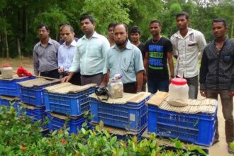 লাউয়াছড়ায় ২২ বিষধর সাপ অবমুক্ত - Surma Times Archive