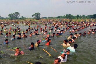 কমলগঞ্জে গ্রাম বাংলার ঐহিত্যবাহী  পলো বাওয়া উৎসব শুরু - Surma Times Archive