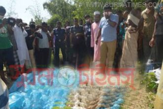 গোয়াইনঘাটে ৩০ দিন পর কবর থেকে প্রবাসীর স্ত্রী‘র মরদেহ উত্তোলন - Surma Times Archive