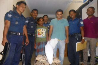 জৈন্তাপুর ২টি বক সহ এক শিকারী আটক মোবাইল কোর্টে ৫হাজার টাকা জরিমানা - Surma Times Archive