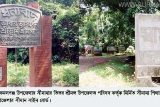 দেখার কেউ নেই ? কমলগঞ্জ সীমানার ভিতরে শ্রীমঙ্গলের সীমানা পিলার! - Surma Times Archive