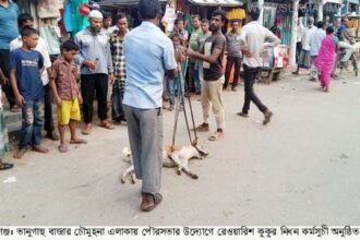 কমলগঞ্জে বেওয়ারিশ কুকুর নিধন কর্মসুচী শু শুরু - Surma Times Archive