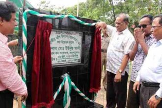 সাইনবোর্ড সর্বস্ব জাতীয় বাঁশ উদ্যান : হরিলোটে ব্যাস্ত কর্মরতরা - Surma Times Archive