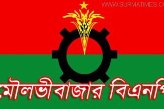 পুনর্গঠন ঘিরে দ্বন্দ্ব বেড়েছে মৌলভীবাজার বিএনপিতে - Surma Times Archive