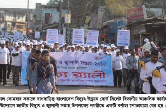 বিদ্যুৎ চোর, তার চোররা কোটি কোটি টাকার বিদ্যুৎ লোটপাট করে : প্রকৌশলী রতন - Surma Times Archive