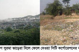 সিটি কর্পোরেশনের দায়িত্বহীনতায় হুমকির মুখে ভাড়েরা বিল (ভিডিও) - Surma Times Archive