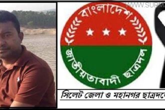 সাবেক ছাত্রদল নেতা আলমগীর হোসেনের মৃত্যুতে সিলেট জেলা ও মহানগর বিএনপির শোক - Surma Times Archive