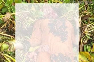 কুমিল্লায় ডোবা থেকে ধর্ষিতা তরুণীর জবাই করা লাশ উদ্ধার - Surma Times Archive