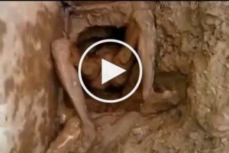 টয়লেট দিয়ে জেলখানা থেকে পালাতে গিয়ে… (ভিডিওসহ) - Surma Times Archive