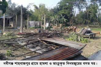 নবীগঞ্জে দিনমজুরের বসত বাড়িতে হামলা ভাংচুর ও লুটপাট - Surma Times Archive