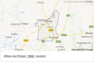 হবিগঞ্জে সড়ক দুর্ঘটনায় নিহত ১ - Surma Times Archive