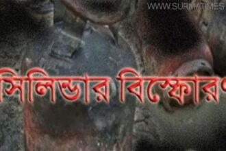 রাজধানীতে একই পরিবারের পাঁচজন দগ্ধ - Surma Times Archive